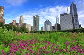 Best Parks In Chicago For Spring Flowers