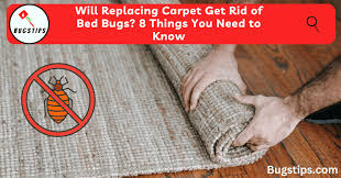 replacing carpet get rid of bed bugs