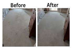 carpet cleaning in charlotte nc dry