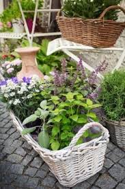 Popular Herb Garden Design Ideas For