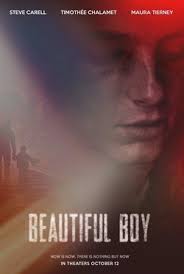 RÃ©sultat de recherche d'images pour "beautiful boy 2018"