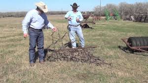 wildlife food plot with a chain harrow