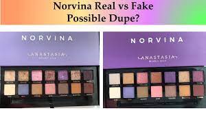 norvina eyeshadow palette dupe put to