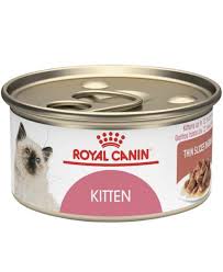 royal canin cat food ebay