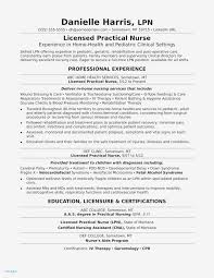 Nursing Objectives Resumes Professional Sample Nursing