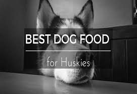 Top 5 Picks Of Best Dog Food For Huskies 2019s Ultimate