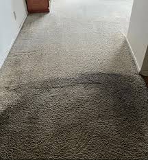 4 elements carpet cleaning services