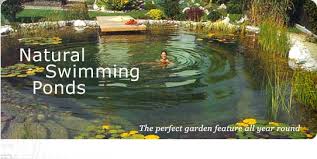 Swimming Ponds Ideas On How To Make One