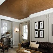 Would like to put this over my. Wood Ceiling Ideas Ceilings Armstrong Residential