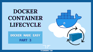the docker container lifecycle docker