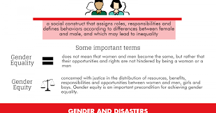 Gender And Gis Guidance Infographic Servir Mekong