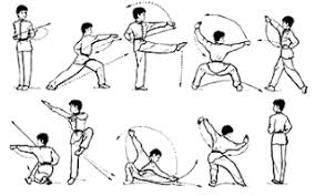 the 5 stances of long fist kung fu