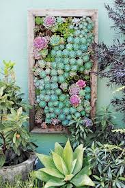13 Outdoor Succulent Wall Garden Ideas