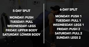 best upper lower split workout routines