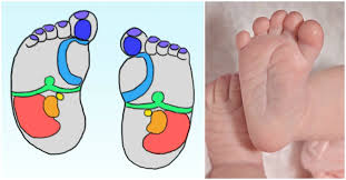 Baby Foot Reflexology A Simple Guide To Pressure Points