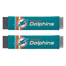 Fanmats Miami Dolphins Team Color Rally