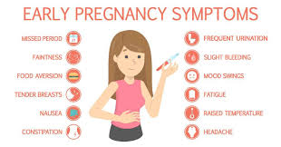 symptoms of pregnancy femina in