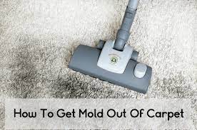 How To Get Mold Out Of Carpet Mold