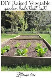 Diy Raised Vegetable Garden Beds
