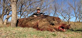 Image result for hunting
