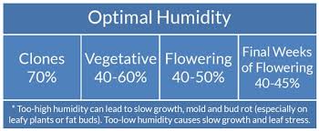 Indoor Humidity Control For Cannabis Plants Grow Weed Easy