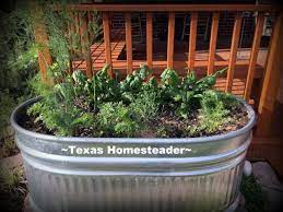 How To Plant Large Galvanized Troughs