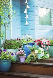 Container Garden Design Tips Tanya Visser