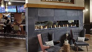See Thru Linear Gas Fireplaces Modern