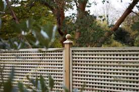 Privacy Solutions For Your Garden