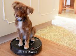roomba robot vacuum cleaner review and