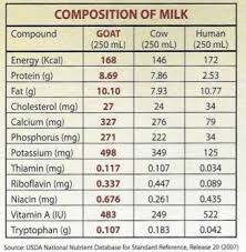 Comparison Of Milk Goat Cow Human Goat Farming Goats