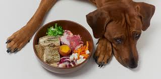 treat recipes for dogs with food allergies