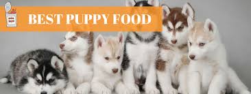 There is no one brand of food that is the best food for large breeds. 20 Best Puppy Foods 2021 15 Dry And 5 Wet Options Animalso
