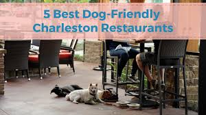 dog friendly charleston restaurants