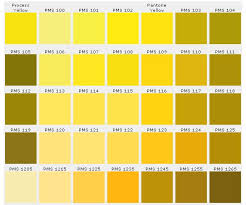 Pantone Color Chart Ensures Accuracy Custompins Inc