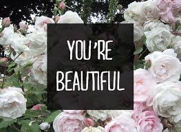 youre beautiful rose gif find on gifer