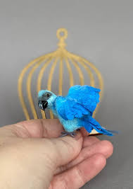 135 cute parrot toys on tedsby