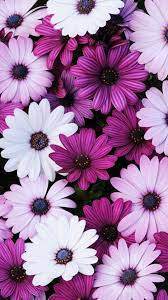 We have 67 background pictures for you. Purple Floral Background Tumblr