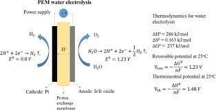 proton exchange membrane water