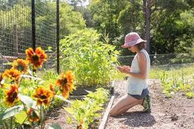 Learn how gardening in wide rows using organic methods in raised beds with deep soil will make your garden more productive. 11 Best Gardening Apps For Beginners Garden For Beginners