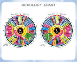 Iridology Chart For The Assessment Of Health By Reading The Iris Patterns In The Eyes