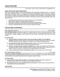 Resume Of A Marketing Executive   Free Resume Example And Writing    