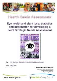 Eye Health Sight Loss Needs Assessment For Norfolk 4014 By