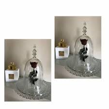 Natural Glass Dome Bell Jar Size