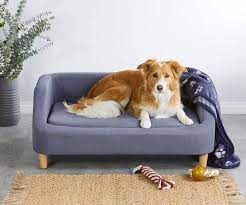 aldi s famous pet sofa beds will be
