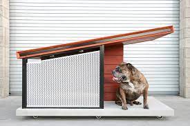 beautifully designed dog house
