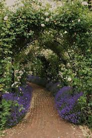 Lavender Roses Garden Arches