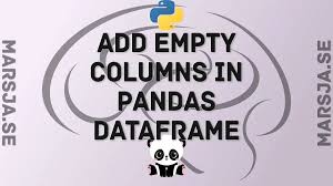 how to add empty columns to dataframe
