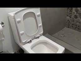 Fixing Loose Toilet Seat W
