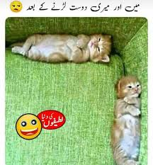 This collection is best if you shared this to your friends or family who knows urdu. Urdu Funny Friends Dost Jokes Funny Quotes In Urdu Cute Jokes Friendship Quotes Funny